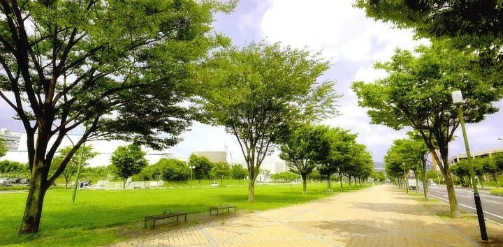 大通り公園